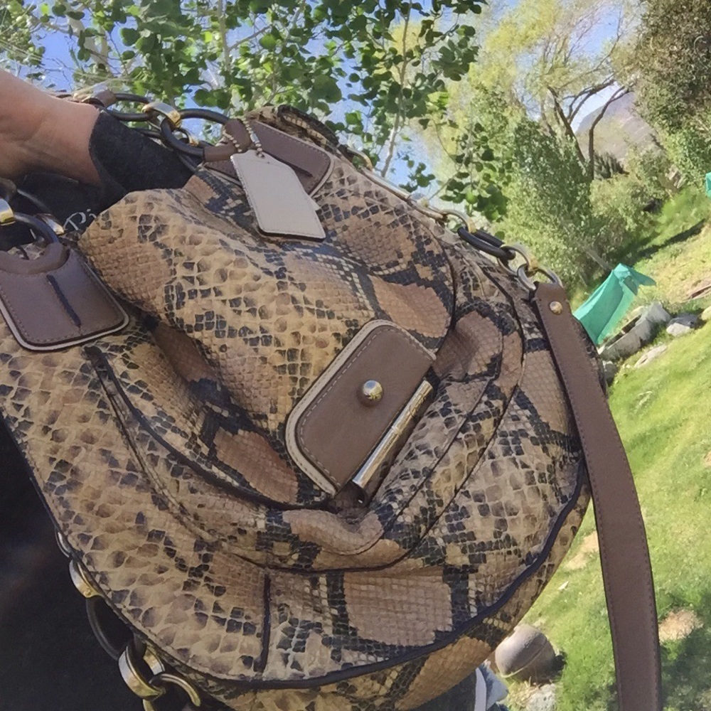 Limited Edition Coach Python Skin Purse. - image 1